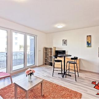 Pronájem bytu 1+kk a garsoniéry 31 m² Praha, U Radosti