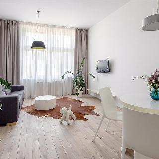 Pronájem bytu 1+1 55 m² Praha