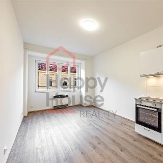 Pronájem bytu 1+kk a garsoniéry 25 m² Praha, V Horkách