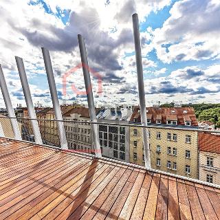 Pronájem bytu 4+kk 212 m² Praha, Holečkova