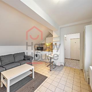 Pronájem bytu 1+1 30 m² Praha, Vladislavova