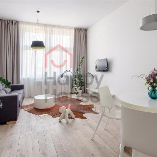 Pronájem bytu 1+1 55 m² Praha, Holečkova