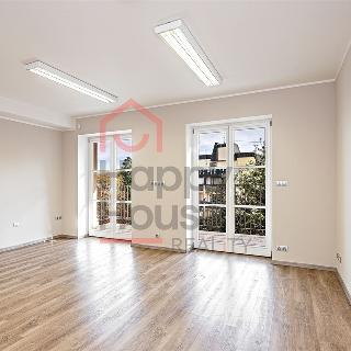 Pronájem bytu 5+1 a více 130 m² Praha, V sadech