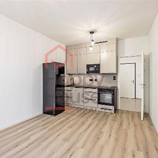 Pronájem bytu 1+kk a garsoniéry 27 m² Praha, Milánská