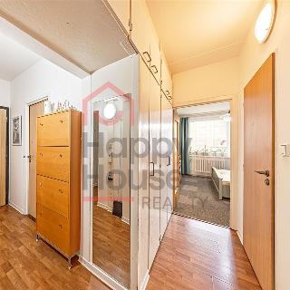 Prodej bytu 3+1 71 m² Praha, Kunínova