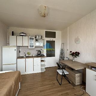 Pronájem bytu 1+kk a garsoniéry 22 m² Františkovy Lázně, Májová