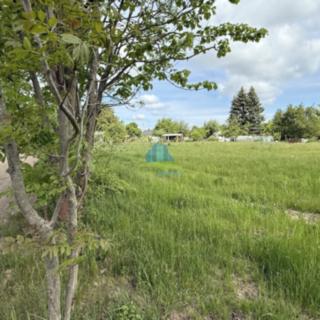 Prodej zahrady 1 302 m² Františkovy Lázně, Horní