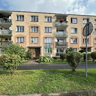 Pronájem bytu 1+kk a garsoniéry 20 m² Františkovy Lázně, Májová