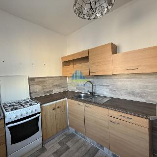 Prodej bytu 3+1 68 m² Cheb, V Zahradách