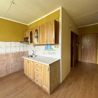 Prodej bytu 1+1 40 m² Cheb, Šeříková