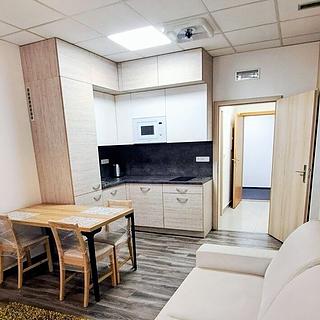 Pronájem bytu 2+kk 46 m&sup2; Brno
