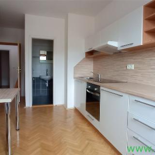 Pronájem bytu 1+1 34 m² Brno, Elgartova