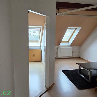 Prodej bytu 2+1 48 m&sup2; Brno