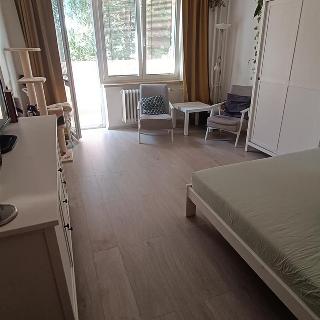 Pronájem bytu 1+1 33 m² Ivančice, Sportovní