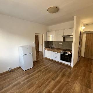 Pronájem bytu 2+kk 36 m² Liberec