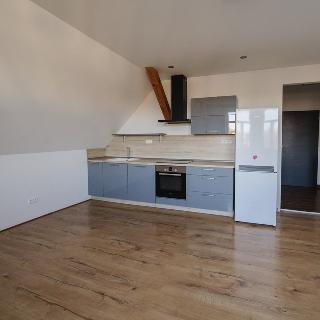 Pronájem bytu 2+kk 53 m² Liberec, Křížkovského