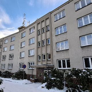 Pronájem bytu 1+kk a garsoniéry 28 m² Liberec, Purkyňova