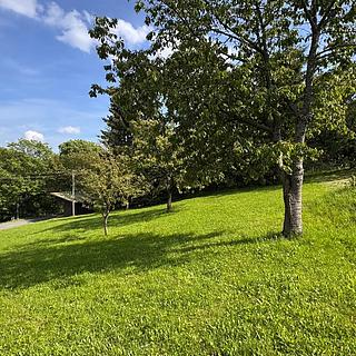 Prodej stavební parcely 809 m&sup2; Jestřabí v Krkonoších