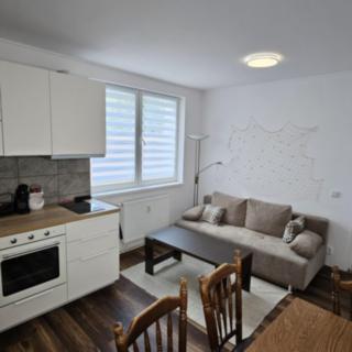 Prodej bytu 2+kk 39 m² Kořenov