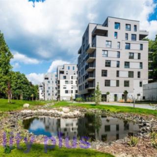 Pronájem bytu 3+1 80 m² Liberec, Vítězná