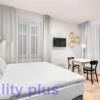 Pronájem bytu 1+kk a garsoniéry 36 m² Liberec, Svatoplukova