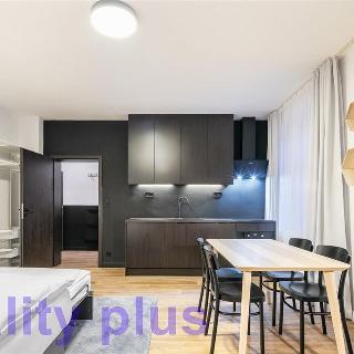 Pronájem bytu 1+kk, garsoniery 33 m² Liberec