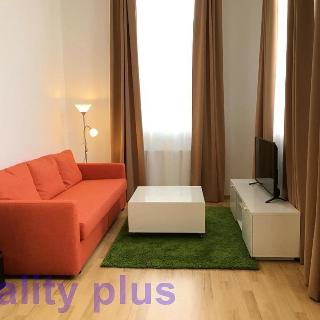 Pronájem bytu 1+kk a garsoniéry 28 m² Liberec, Švermova