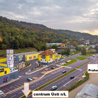 Pronájem kanceláře 177 m² Ústí nad Labem, Žižkova