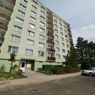 Pronájem bytu 2+1 62 m² Ústí nad Labem, Pincova