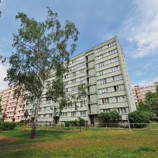 Pronájem bytu 1+1 45 m² Ústí nad Labem, Ladova