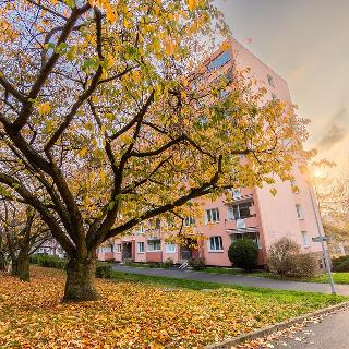 Prodej bytu 3+1 84 m² Ústí nad Labem, Pod Parkem