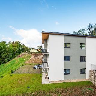 Pronájem bytu 2+kk 72 m² Liberec, Jizerská