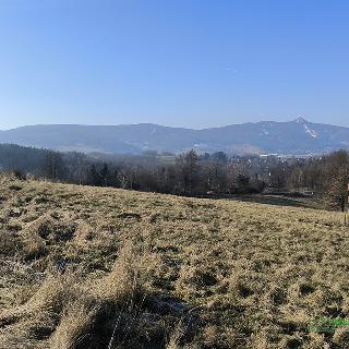 Prodej louky 15 987 m² Liberec, K Mojžíšovu prameni