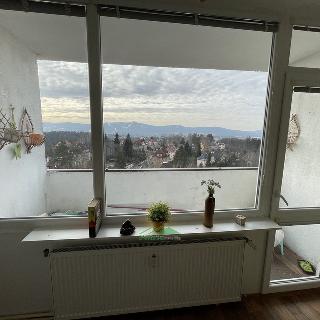 Pronájem bytu 1+kk a garsoniéry 25 m² Liberec, Březová alej