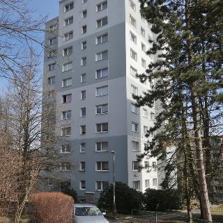 Pronájem bytu 1+1 39 m² Liberec, Sametová