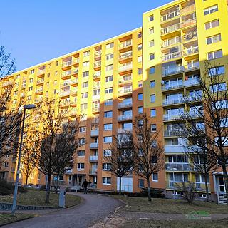 Pronájem bytu 1+1 35 m&sup2; Liberec