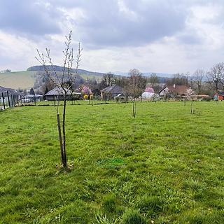 Prodej stavební parcely 3415 m&sup2; Nová Ves