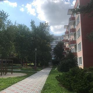 Pronájem bytu 1+1 39 m&sup2; Tábor