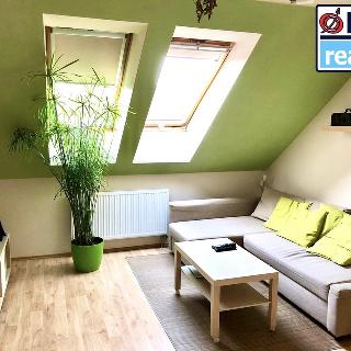 Pronájem bytu 2+kk 40 m² Plzeň, Lísková