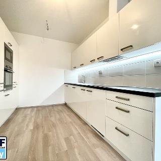 Pronájem bytu 2+kk 54 m² Plzeň, Živnostenská