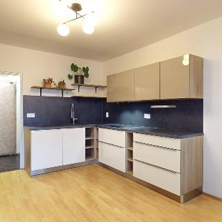 Pronájem bytu 1+1 34 m² Praha, Zálesí