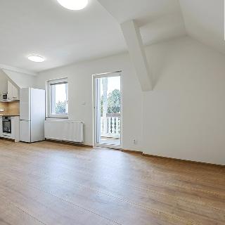 Pronájem bytu 2+kk 38 m² Plzeň, Pod Košutkou