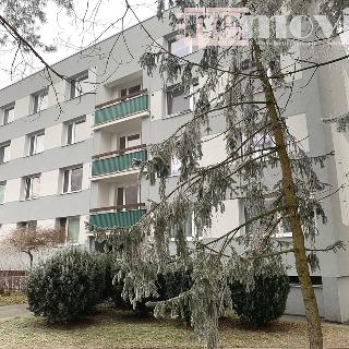 Prodej bytu 2+kk 42 m² Hradec Králové, Truhlářská