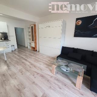 Pronájem bytu 1+kk a garsoniéry 140 m² Chýně, Borová