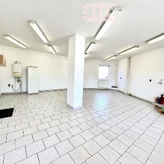 Pronájem výrobního objektu 73 m² Hradec Králové, Říčařova