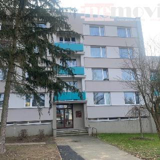 Pronájem bytu 2+kk 38 m² Hradec Králové, Truhlářská