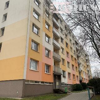 Prodej bytu 3+1 65 m² Rychnov nad Kněžnou, Palackého