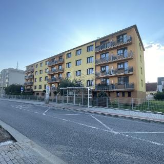 Prodej bytu 3+1 68 m² České Budějovice, Hlinecká