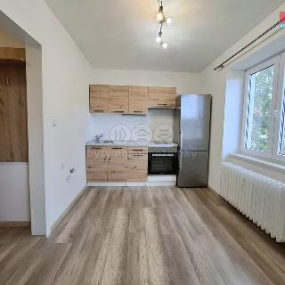 Pronájem bytu 1+1 33 m² Karlovy Vary, Závodu míru