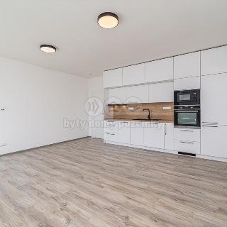 Pronájem bytu 2+kk 75 m² Olomouc, Okružní